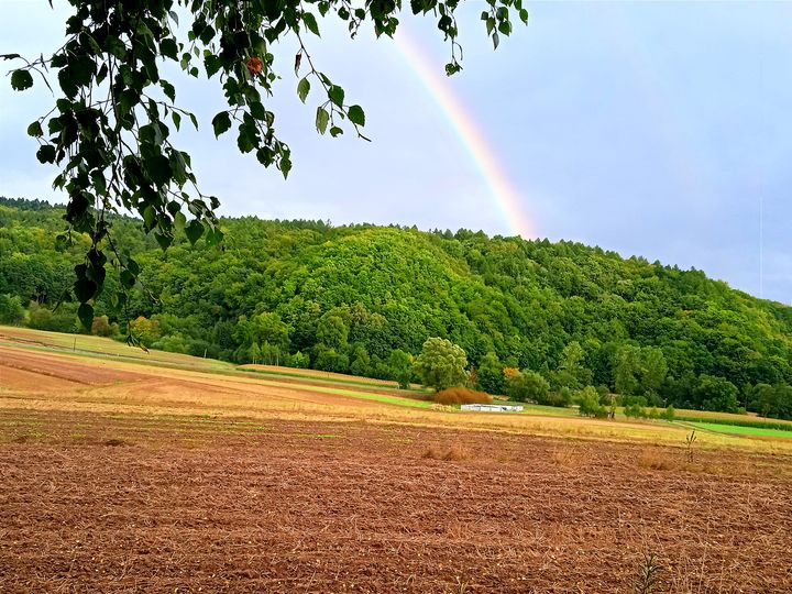 Tęcza nad zalesionym wzgórzem i polami w okolicy Harty